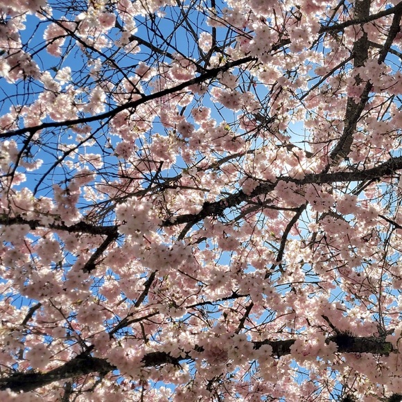 Meet your Posher, Je - Picture 1 of 1